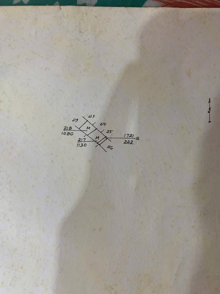 Đất nền 300m² xã Long Hưng A, Đồng Tháp giá 550 triệu - Cơ hội đầu tư tuyệt vời!