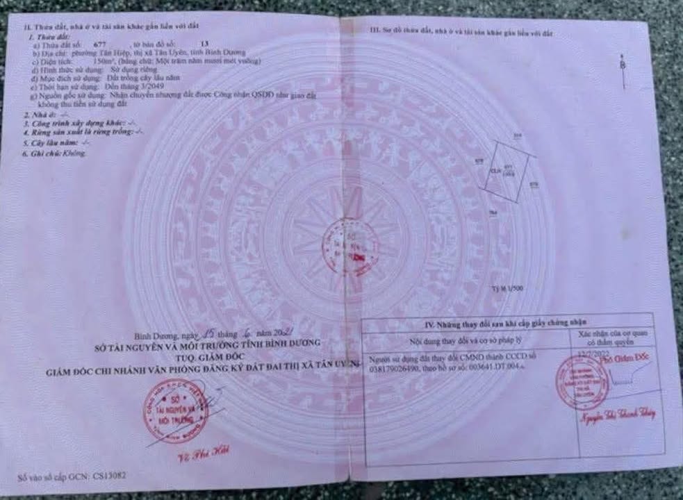 Đất thổ cư Tân Hiệp 150m² giá 1.6 tỷ - Nhà cấp 4 cho thuê 3 triệu/tháng!