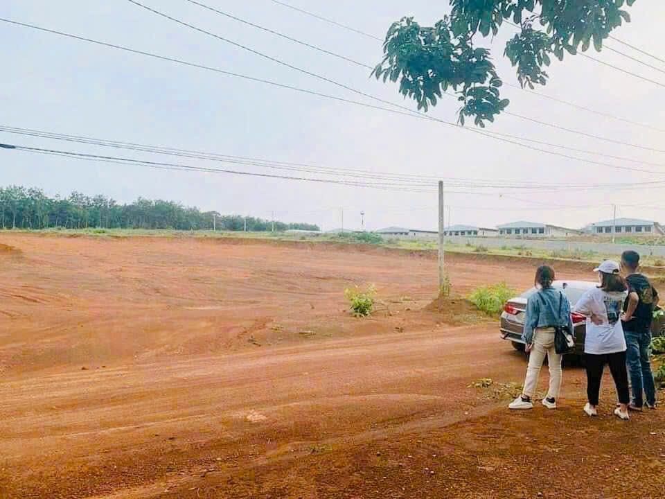 Đất sào Đồng Tiến, Đồng Phú 1050m² giá 455 triệu - Đầu tư sinh lời hấp dẫn!