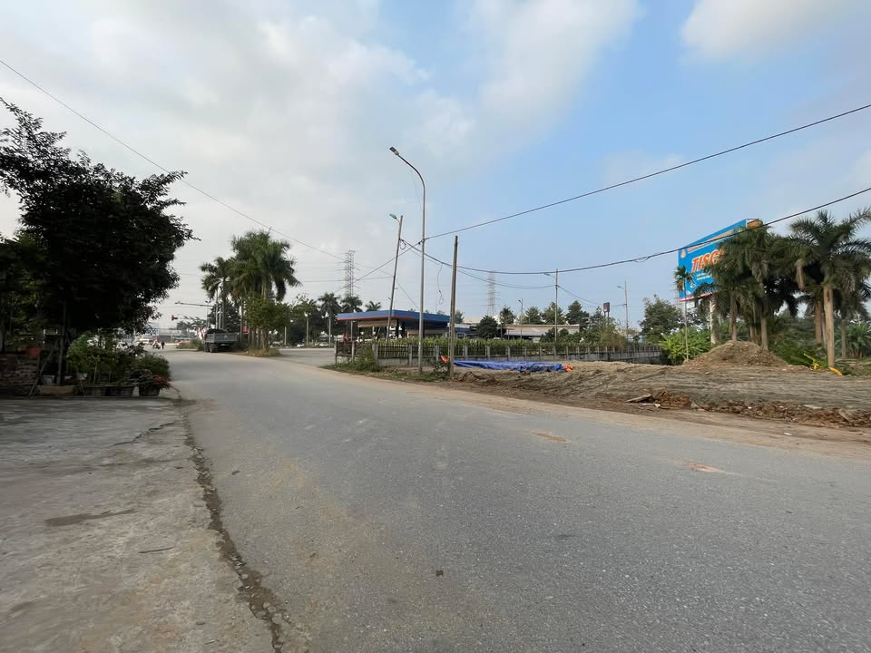 Đất kinh doanh 264.1m² mặt tiền 11m tại phường Thanh Miếu - Giá 7.923 tỷ