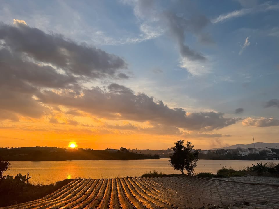 Đất nền Huyện Phúc Thọ 1000m² giá thỏa thuận - View hồ triệu đô tuyệt đẹp!