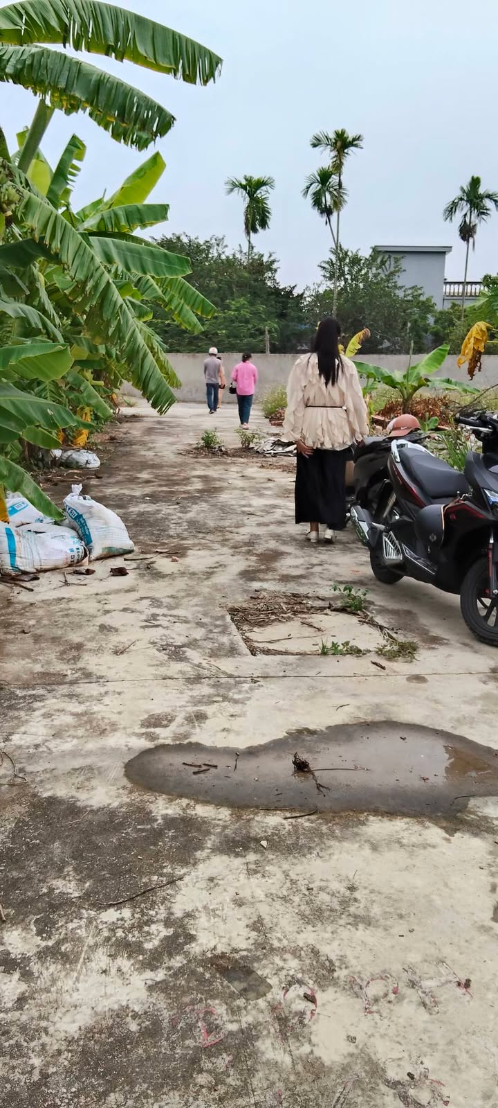 Đất nền Kiều Hạ Quốc Tuấn 60m² giá chỉ 700 triệu - Sổ đỏ chính chủ, ô tô đỗ cửa!