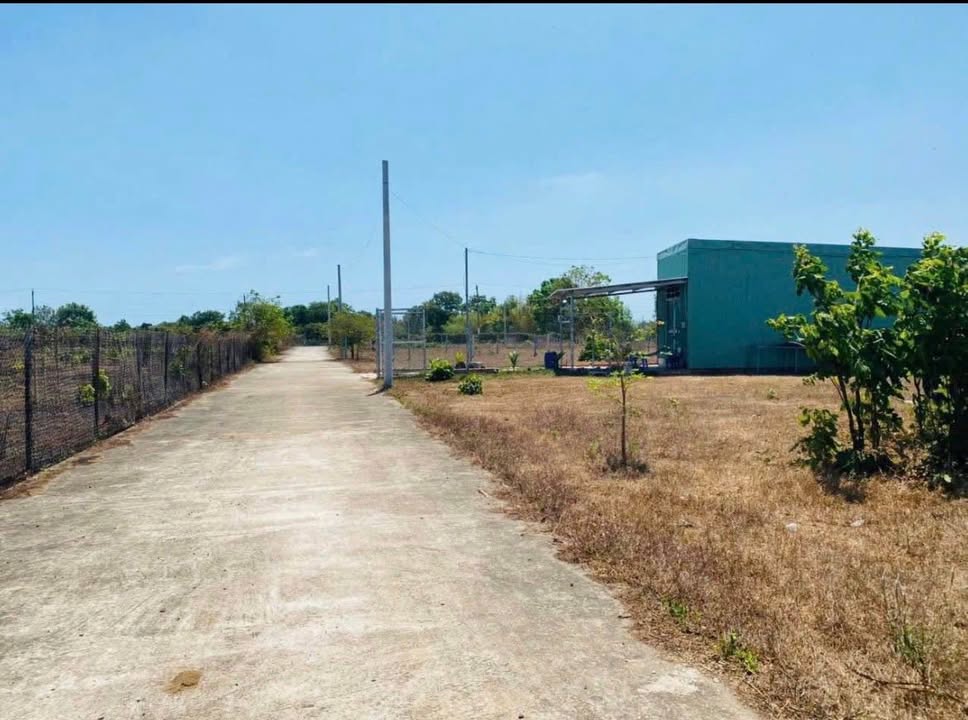 Đất Thị trấn Đất Đỏ 160m² giá 790 triệu - Chính chủ, xây nhà thoải mái!