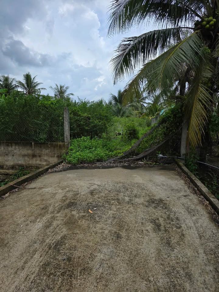 Đất nền 129m² tại đường nhựa Cầu Đá, Tam Hiệp chỉ 950 triệu - Cơ hội đầu tư hiếm có!