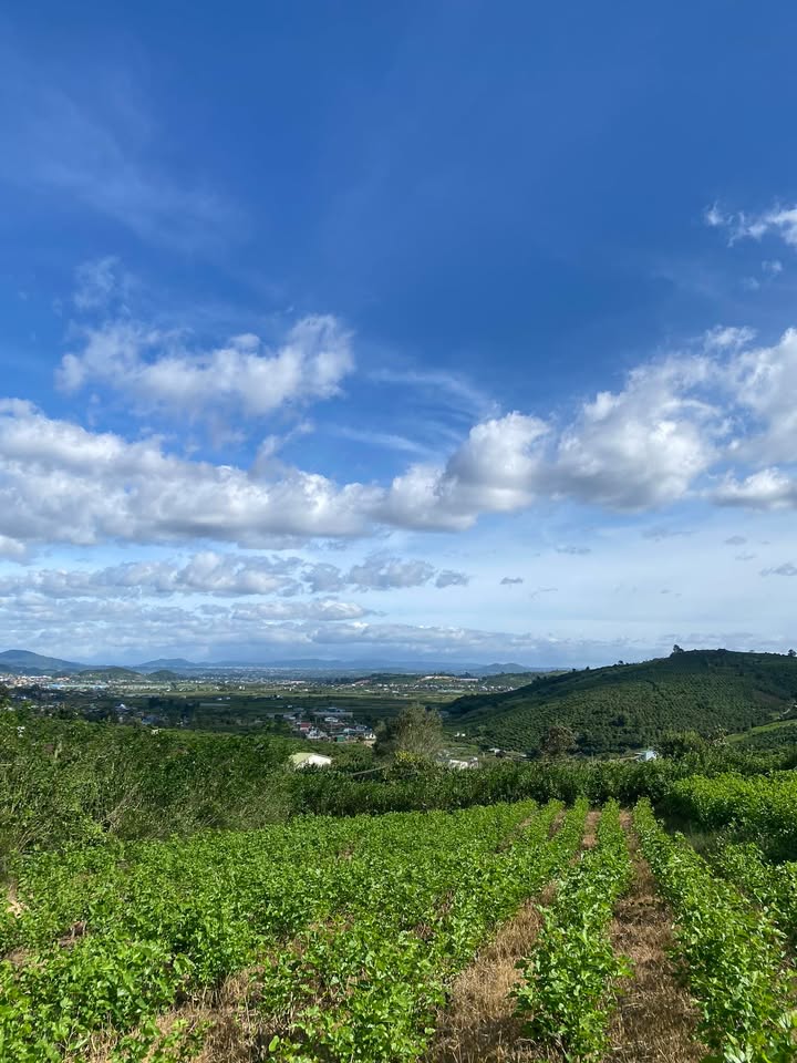 Đất nền xã Tân Hội, huyện Đức Trọng 740m² giá 350 triệu - Sổ đỏ chính chủ!