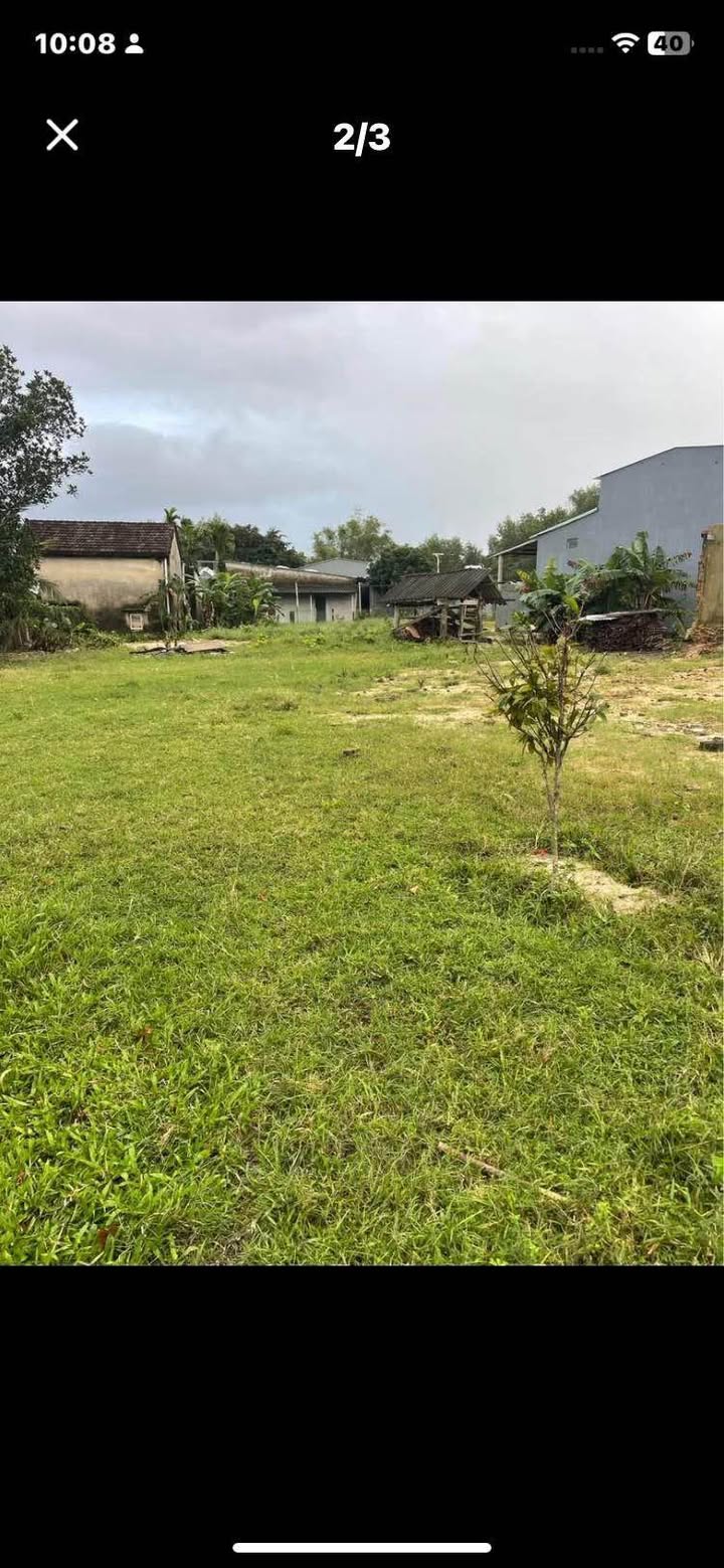 Đất trồng cây Xã Tam Xuân I 500m² giá chỉ 200 triệu - Cơ hội đầu tư tuyệt vời!