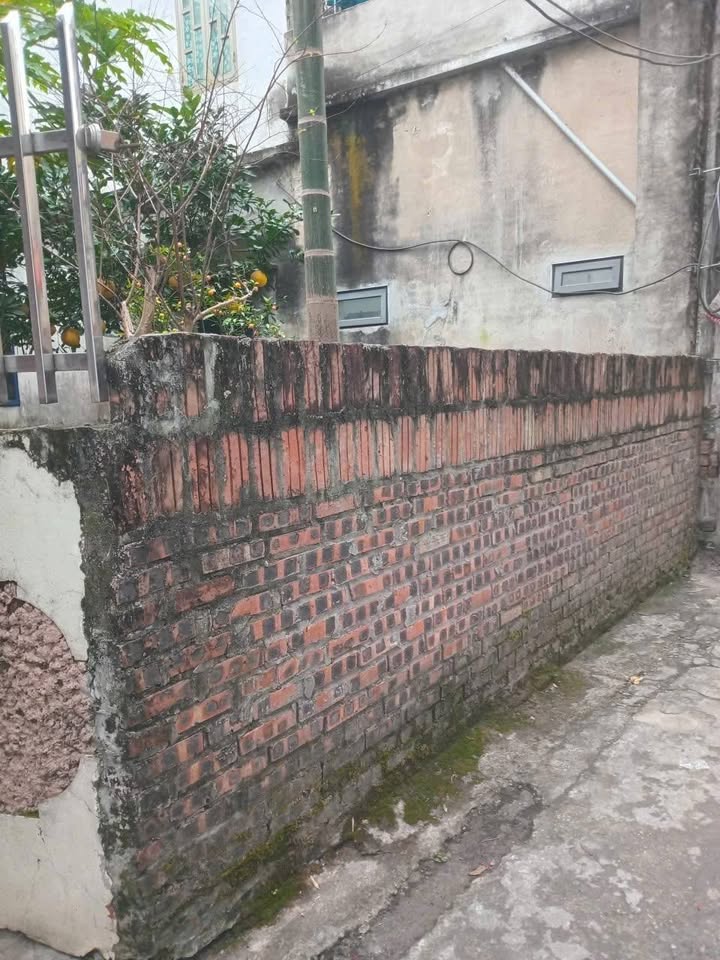 Đất nền Dương Quang - Gia Lâm 100m² giá chỉ 6 tỷ - Pháp lý sổ đỏ chính chủ!