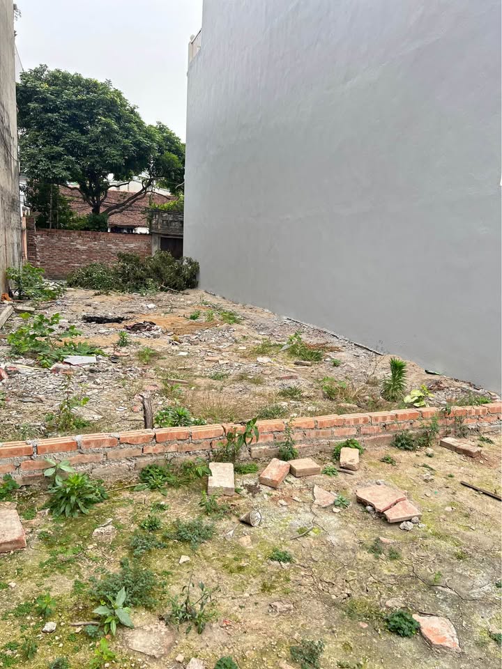 Đất Cẩm Giàng, Đồng Nguyên, Từ Sơn 51m² giá 2.3 tỷ - Cơ hội đầu tư hấp dẫn!