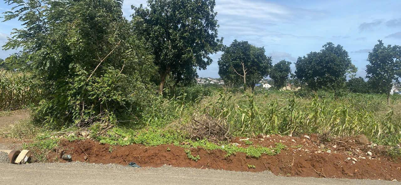 Đất nông nghiệp 100m² góc 2 mặt tiền Đường 10/3 - Tiềm năng phát triển cao!