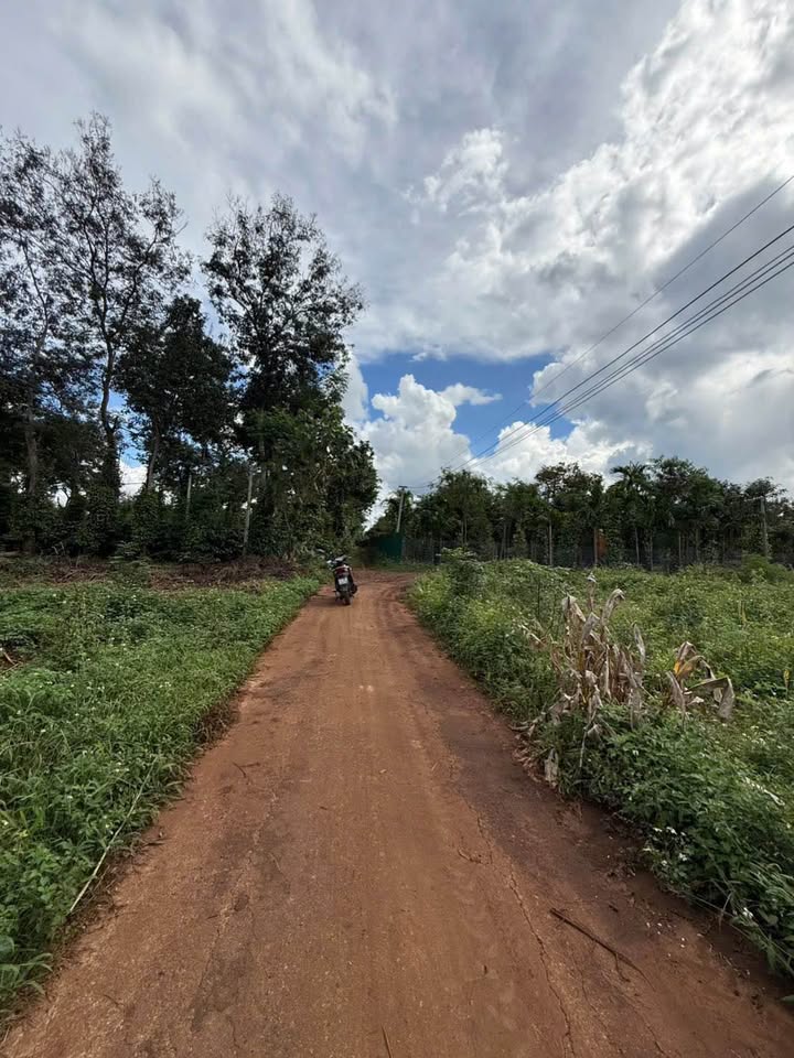 Đất nền Hòa Thuận Buôn Ma Thuột 220m² giá 730 triệu - Cơ hội đầu tư tuyệt vời!