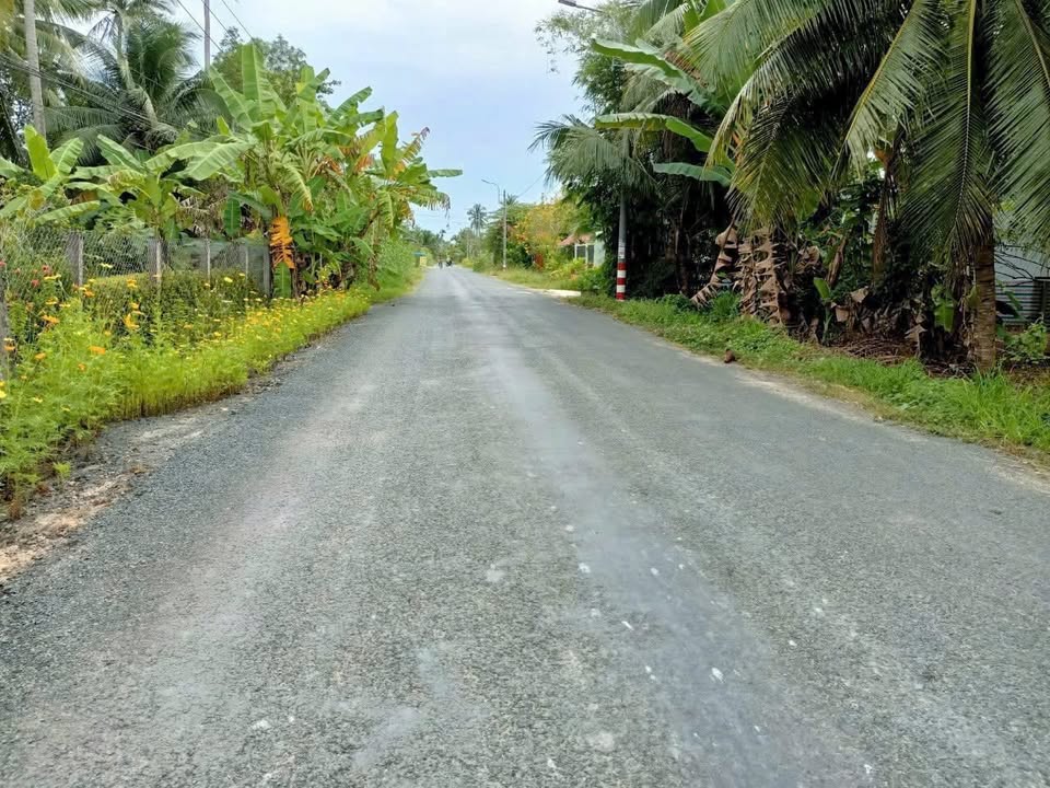 Đất nền mặt tiền đường nhựa xã Phước Thạnh, Bến Tre 296.4m² - Giá cực tốt 1.19 tỷ!