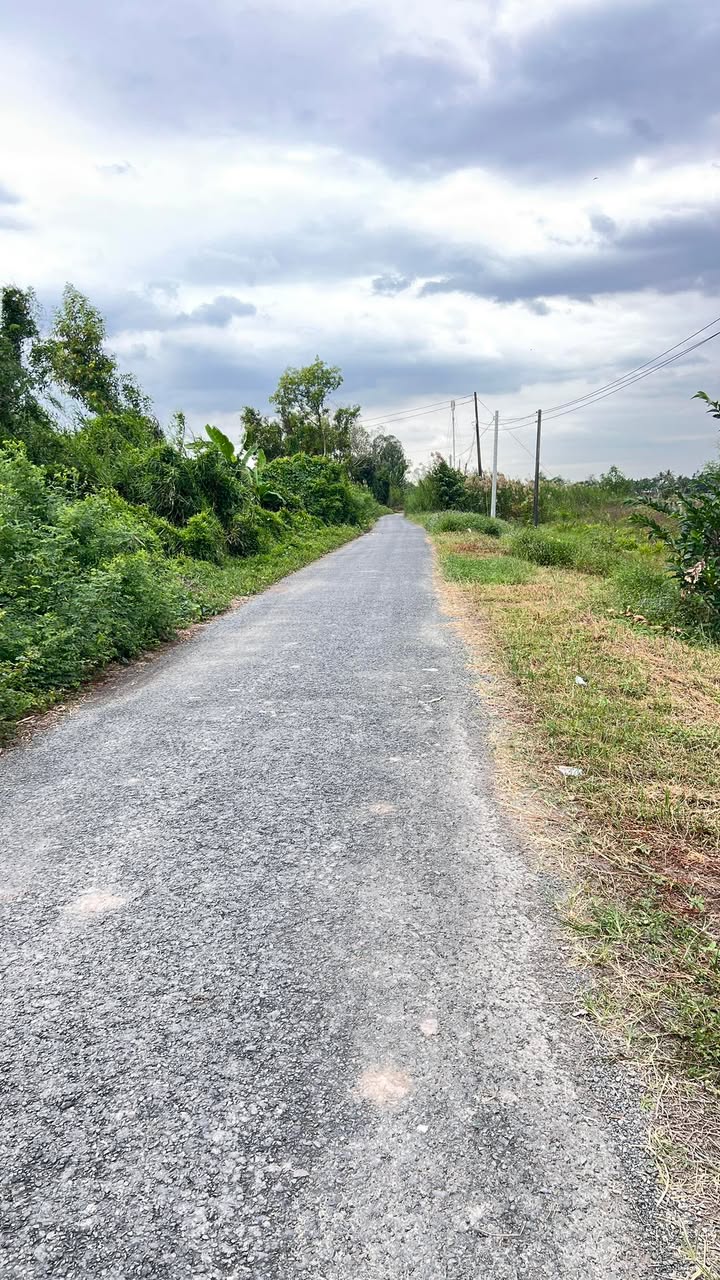 Đất thổ cư 115m² tại Tân Phú Trung, Châu Thành - Giá chỉ 2 tỷ, thương lượng chính chủ!