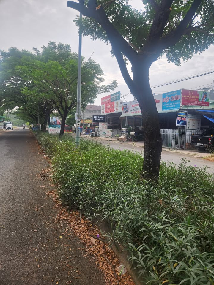 Lô đất mặt tiền KDC Lavender, xã Thạnh Phú, 100m² giá 2.78 tỷ - Đầu tư sinh lời ngay!