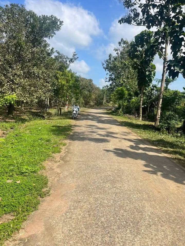 Đất nền 360m² tại Gia Canh, Huyện Định Quán, giá 700 triệu - Đường liên thông thuận lợi!