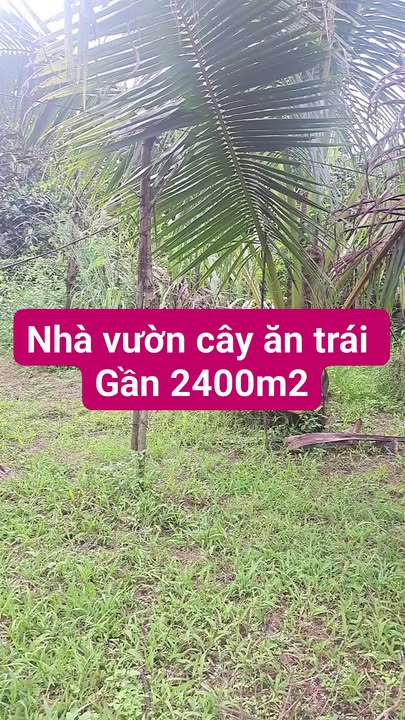 Đất Farm Vĩnh Tân 2400m² giá 2.85 tỷ - Cơ hội đầu tư tuyệt vời!