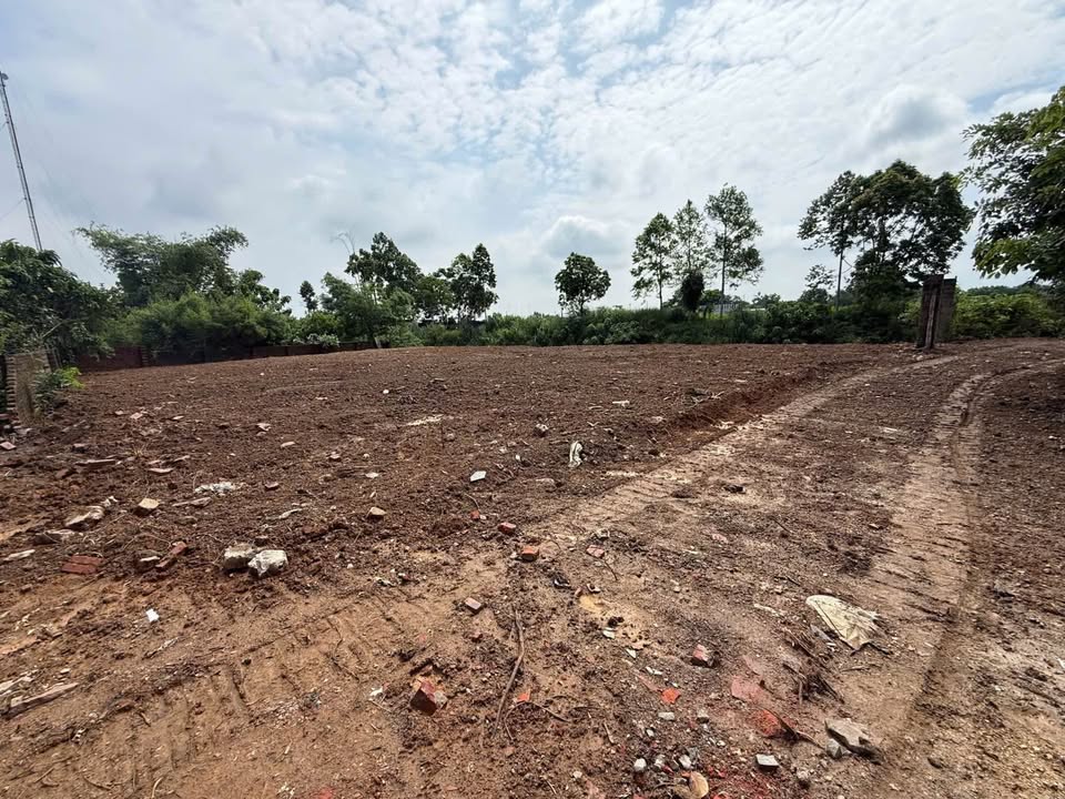 Đất phân lô Gò Sống, Tản Lĩnh 670m² giá thỏa thuận - Cơ hội đầu tư hiếm có!