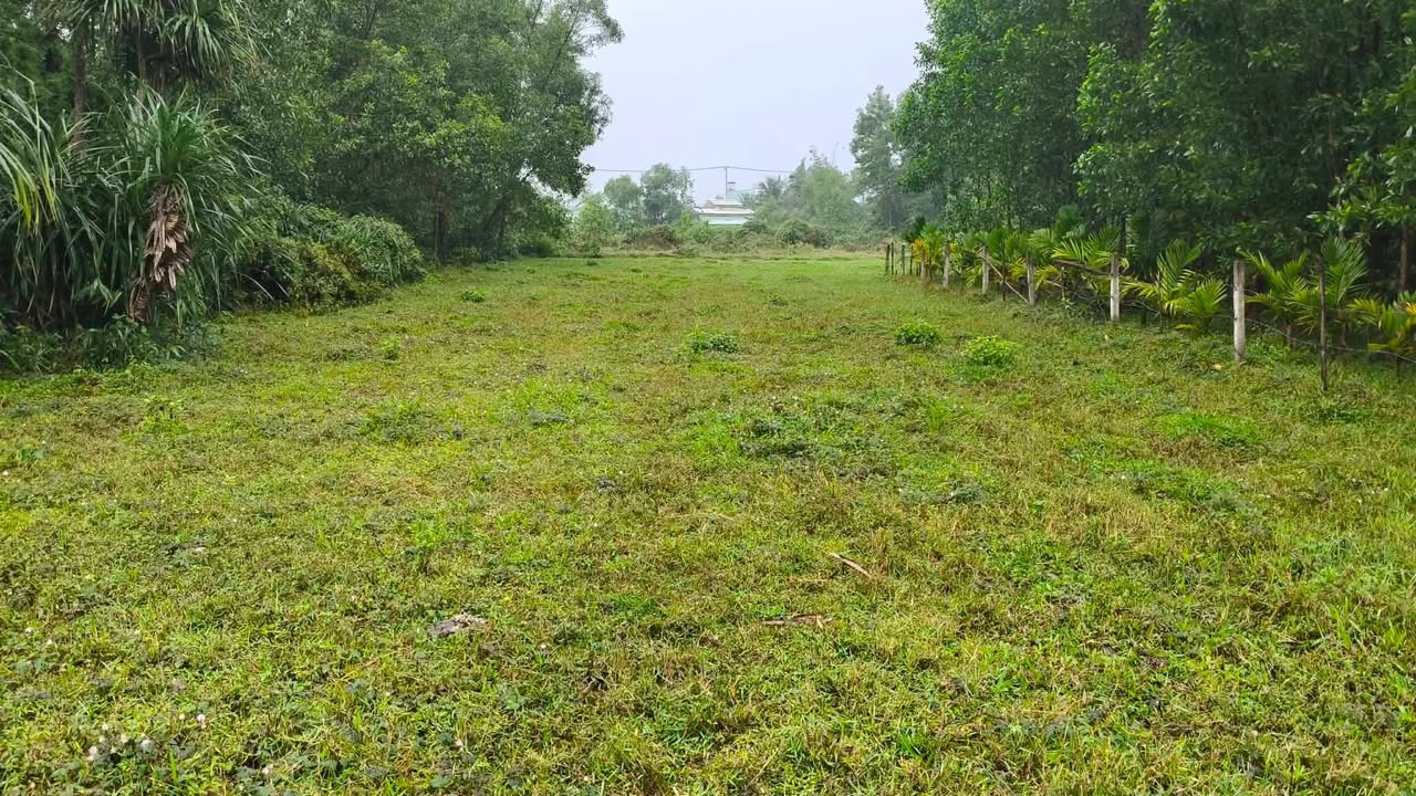 Đất nền Phú Sơn Nam - Hòa Khương 507m² giá chỉ 2×× triệu - Cơ hội đầu tư tuyệt vời!