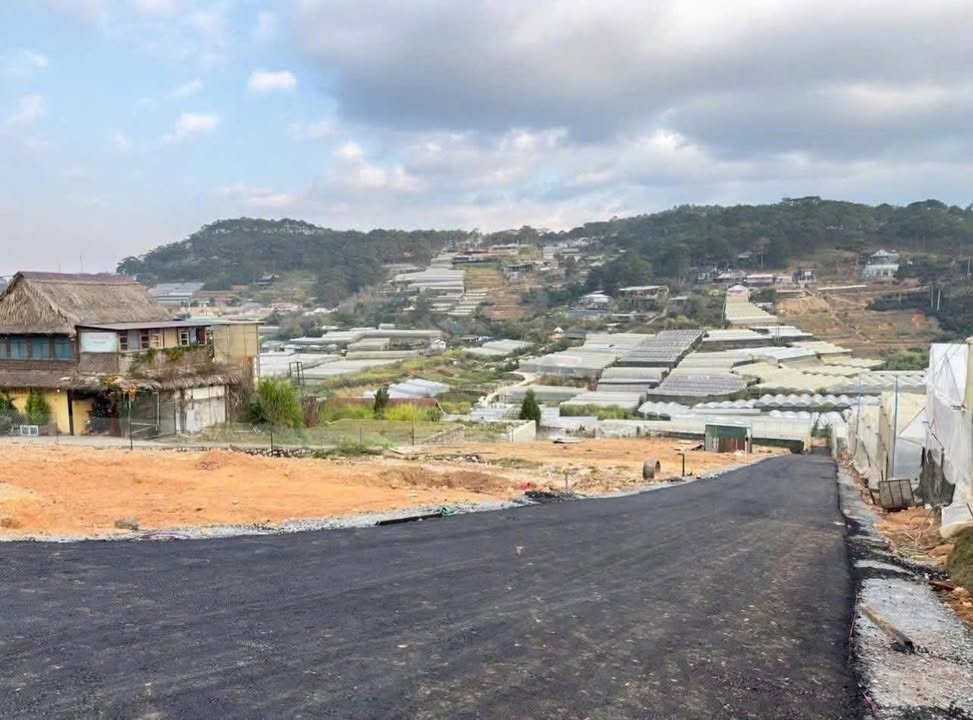 Đất nền Trịnh Hoài Đức, Di Linh, Lâm Đồng 287m² giá 7.6 tỷ - Đầu tư sinh lời!