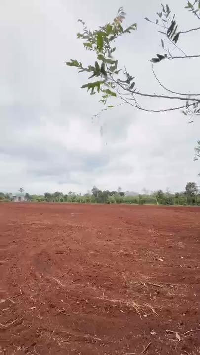 Đất nông nghiệp 1800m² tại đường Hoàng Quốc Việt, Buôn Hồ - Cơ hội đầu tư tuyệt vời!