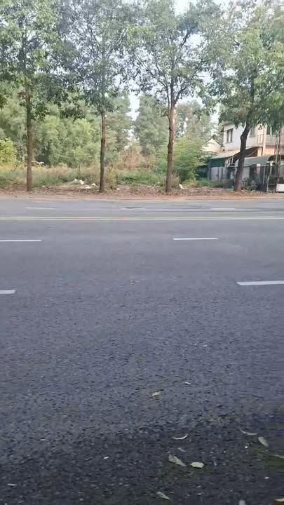 Bán Đất Đường Nhựa TC1, Mỹ Phước 150m² - Cơ Hội Đầu Tư Hấp Dẫn!