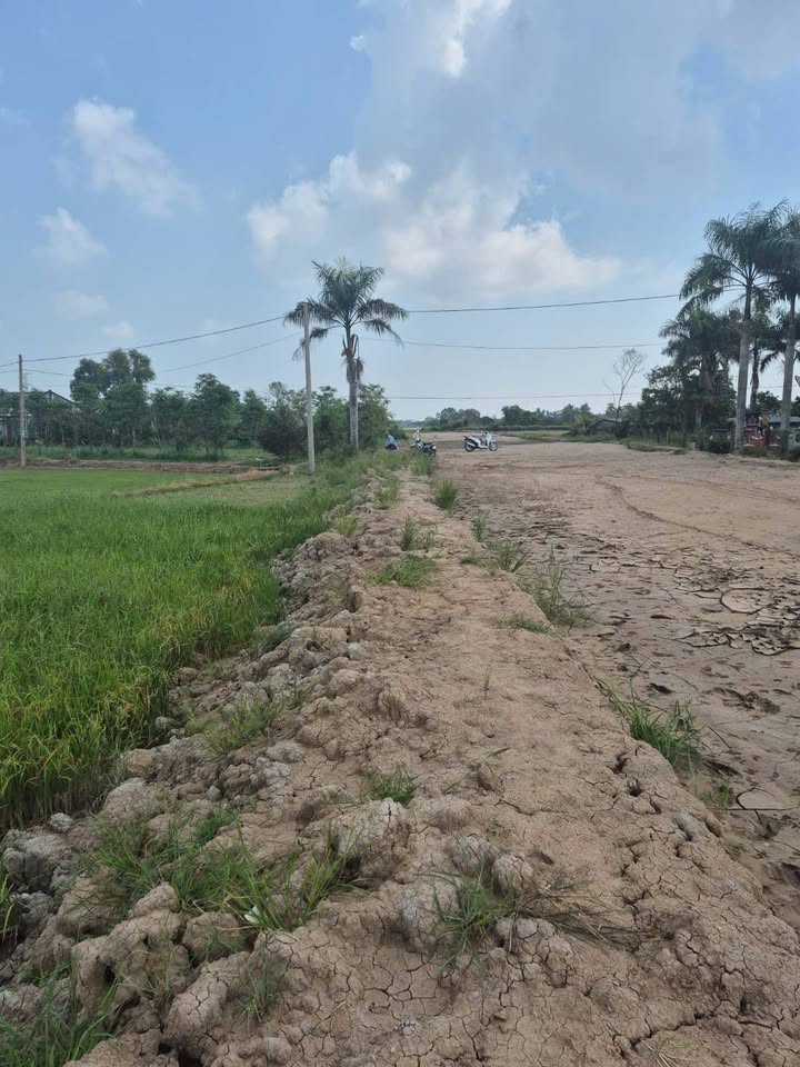 Đất mặt tiền Tỉnh lộ 864 Gò Công 638m² giá 800 triệu - Cơ hội đầu tư hấp dẫn!