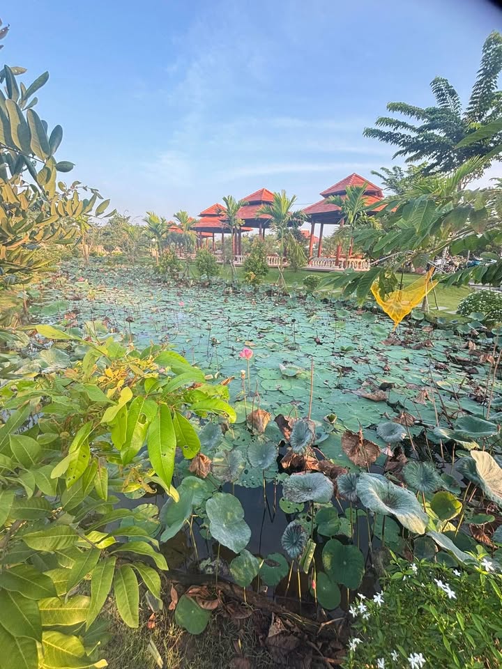 Đất thổ cư 185m² tại FO ngan, Bình Nghị - Gần chợ, giá tốt thương lượng!