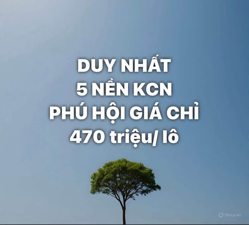 Đất KCN Phú Hội, Đức Trọng 100m² - Giá cả thương lượng hấp dẫn!