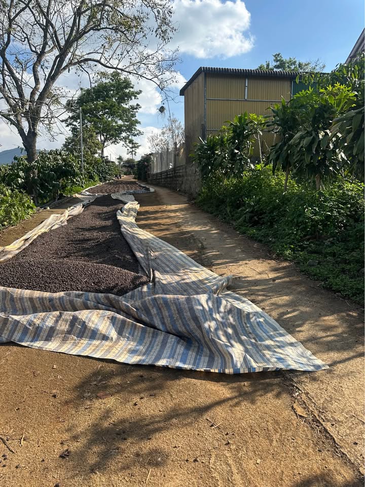 Đất nền Gung Ré, Di Linh 900m² giá 1.1 tỷ - Cơ hội đầu tư hấp dẫn!