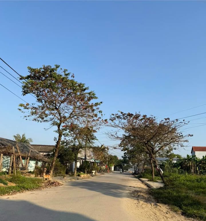 Đất Mặt Tiền Nguyễn Viết Song, Thủy Vân, 100m² - Đầu tư sinh lời ngay!