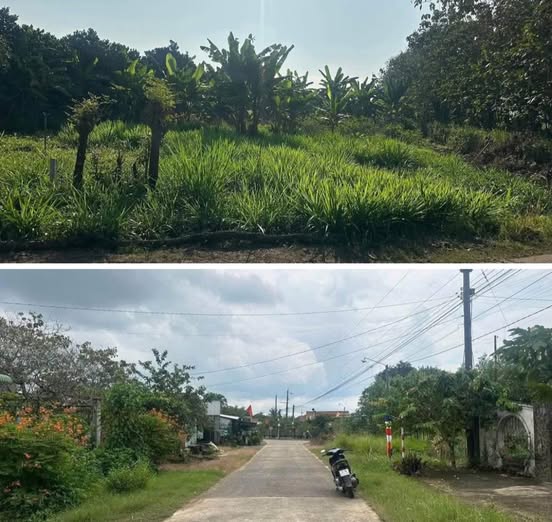 Đất nền xã Phú Hòa, Định Quán 1.462m² chỉ 900 triệu - Cơ hội đầu tư tuyệt vời!