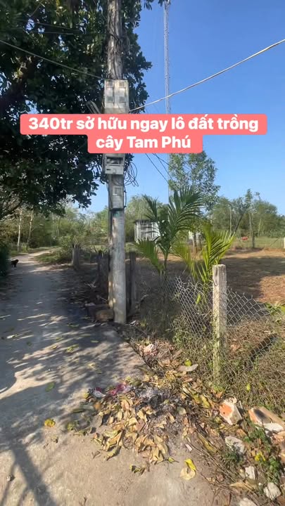 Đất trồng cây xã Tam Phú 520m² giá thỏa thuận - Sổ hồng chính chủ