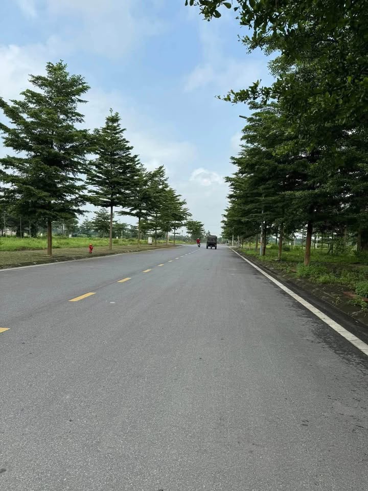 Đất nền dự án Đabaco Bắc Ninh 85m² - Chính chủ cần bán gấp!