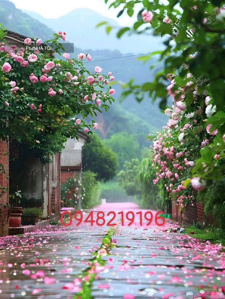 Đất Lái Thiêu 145m² giá 3 tỷ - Mặt tiền sông Sài Gòn!