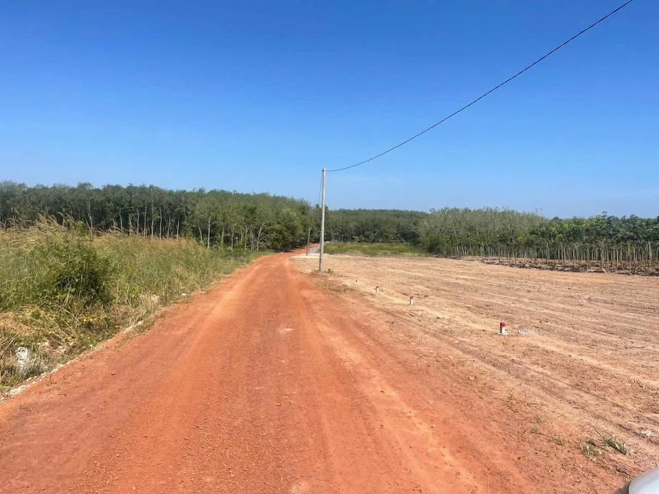 Đất thổ cư đường số 36 Minh Thành 520m² giá 395 triệu - Cơ hội đầu tư hấp dẫn!