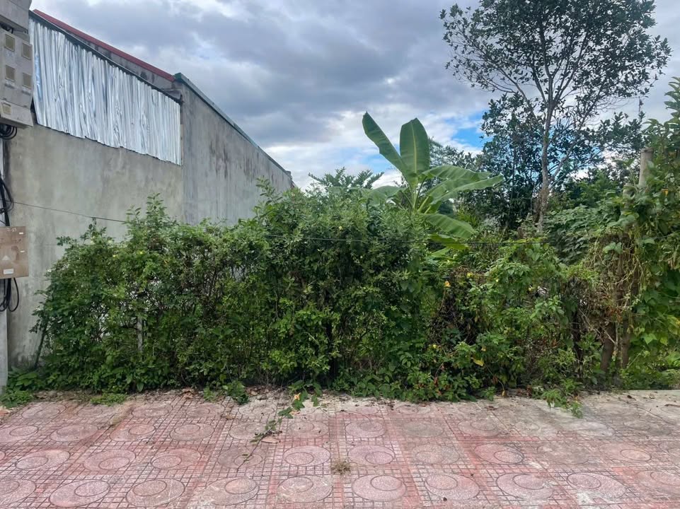 Đất nền tại phường Thanh Trường, TP. Điện Biên Phủ 71.5m² giá 600 triệu - Cơ hội đầu tư tuyệt vời!