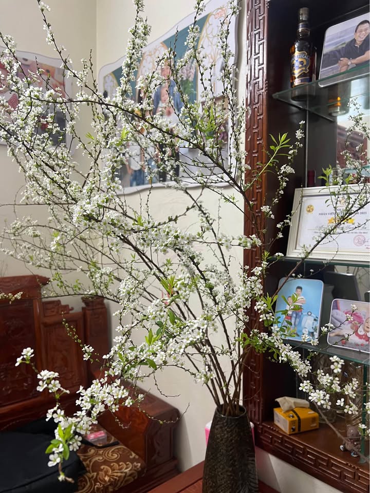 Đất nền Phúc Chỉnh Nam Thành 40m² giá 1.4 tỷ - Vị trí trung tâm thành phố!