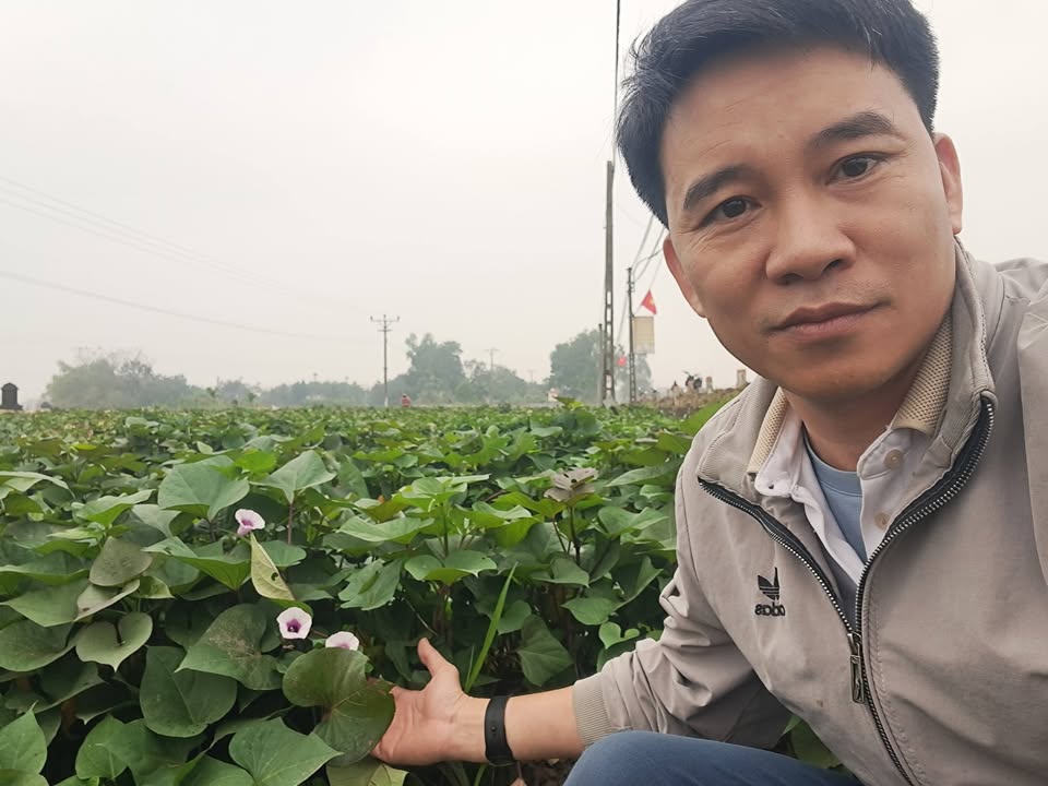 Lô đất 2 mặt đường thôn Kim Thái, Phú Thọ 400m² - Giá chỉ 4 tỷ!