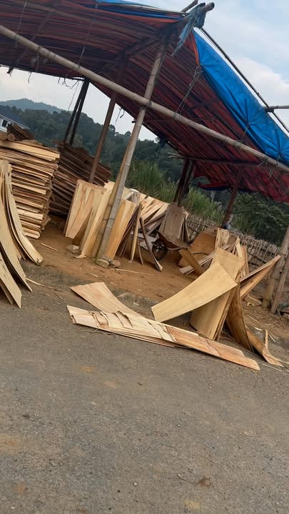 Đất tái định cư Trì Quang Bảo Thắng 160m² giá chỉ 400 triệu - Vị trí đẹp, không ô nhiễm!