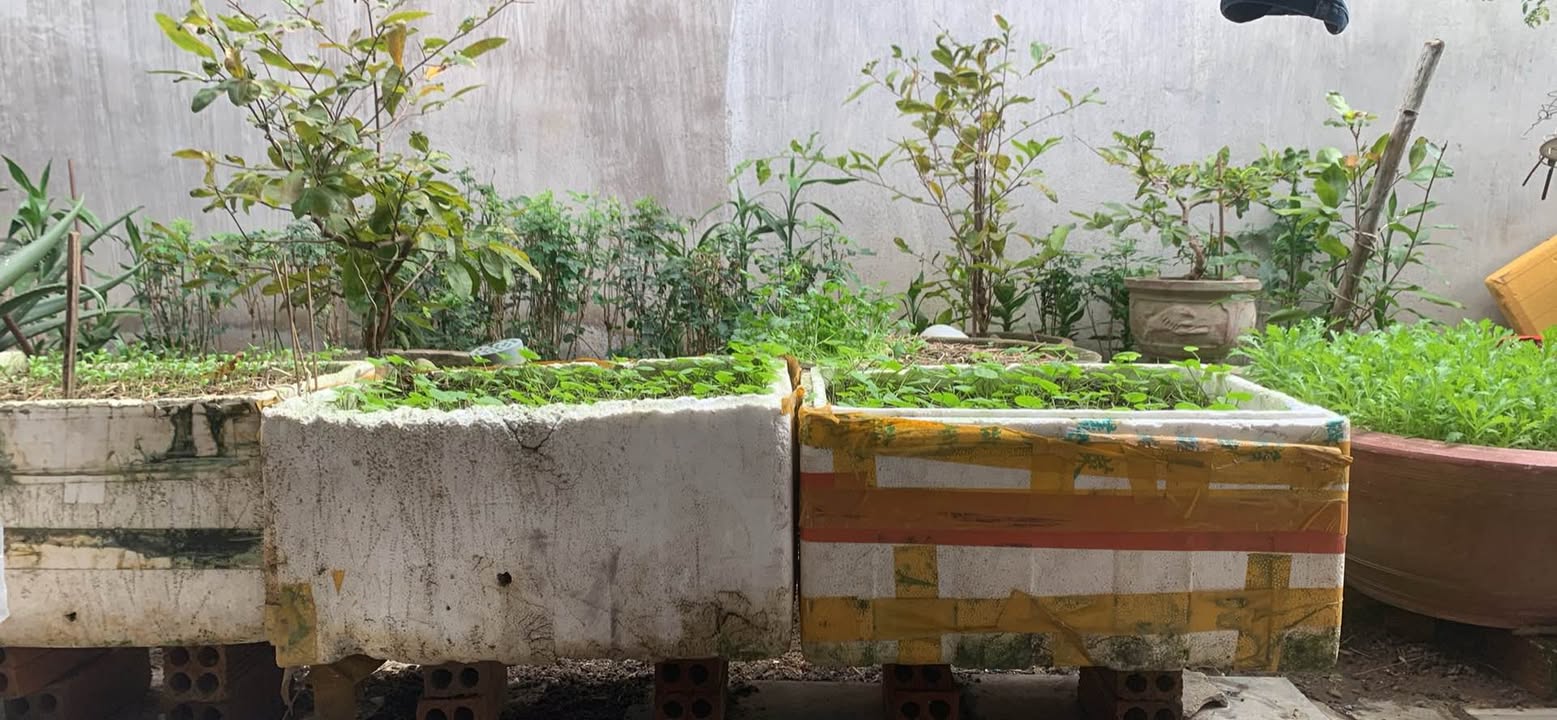 Đất Vĩnh Thái Nha Trang 850m² giá 9.35 tỷ - Bán gấp do kẹt ngân hàng!