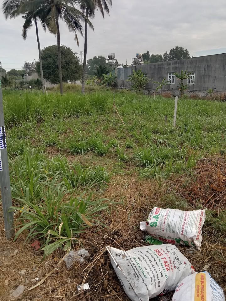 Đất thổ cư Xuân Thọ, Huyện Xuân Lộc 180m² giá 970 triệu - Cơ hội đầu tư không thể bỏ lỡ!