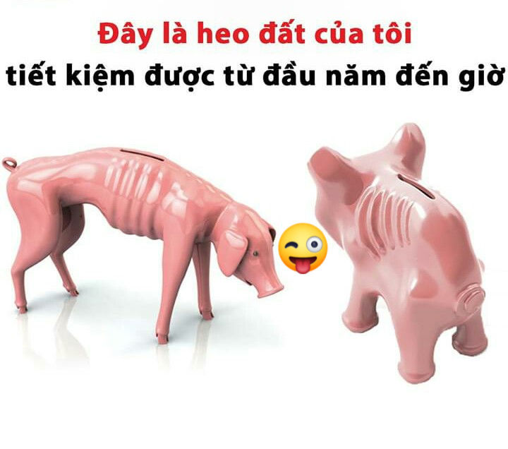 Đất nền Nhựt Chánh, Bến Lức 5500m² giá 3.4 tỷ - Đầu tư sinh lời tốt!