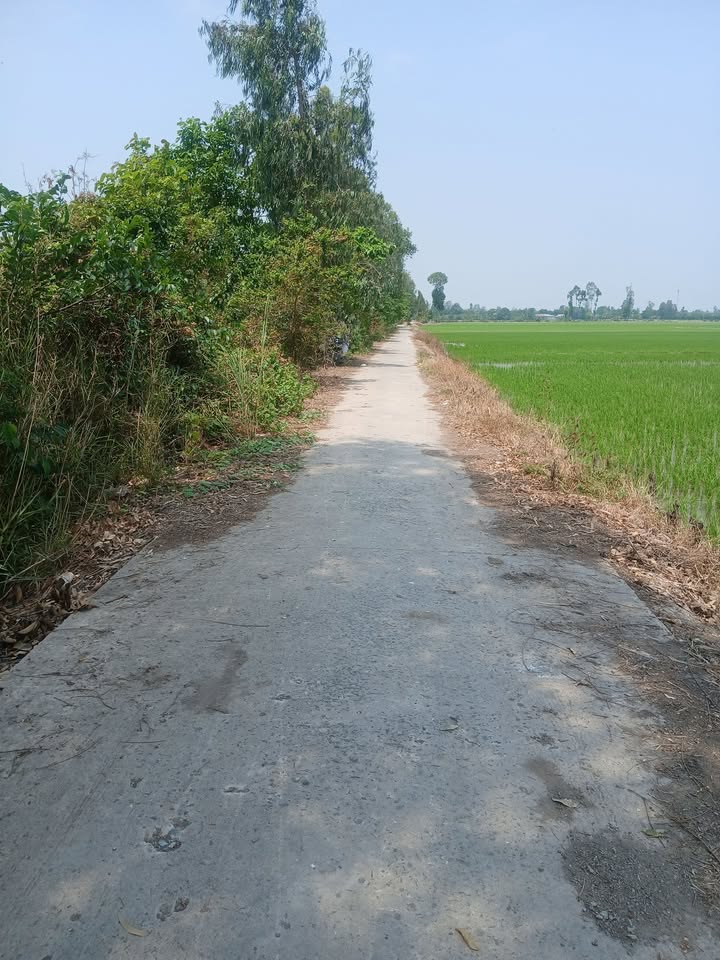 Đất mặt tiền đường ĐANL, xã Bình Thành, 6480m² giá 2.2 tỷ - Cần bán nhanh!