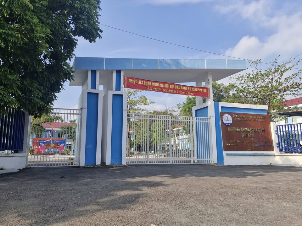 Đất thổ cư Tam Đảo 115m² giá 1.265 tỷ - Vị trí trung tâm, cơ hội tốt!