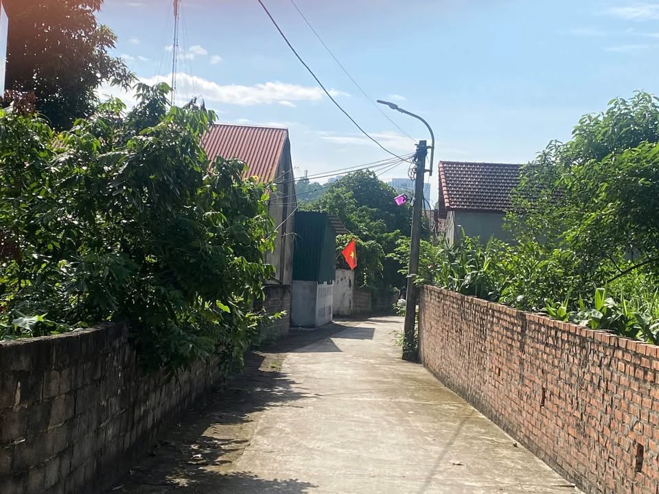 Đất nền thôn mới Thanh Vân 104m² giá 800 triệu - Sổ đỏ chính chủ, đầu tư sinh lời!