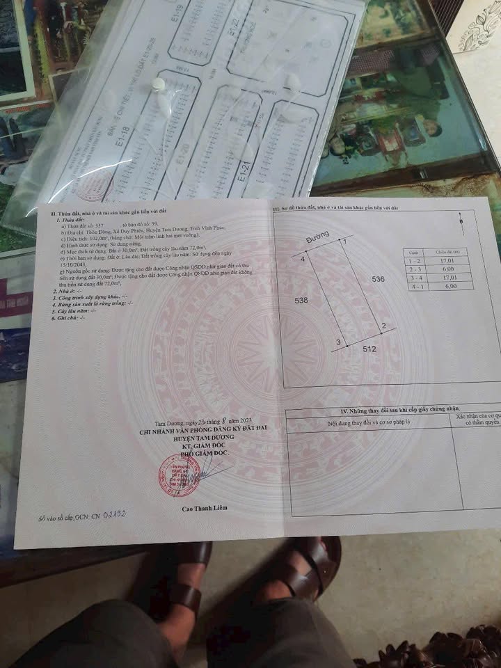 Đất nền 102m² xã Hội Thịnh, huyện Tam Dương - Giá thỏa thuận hấp dẫn!