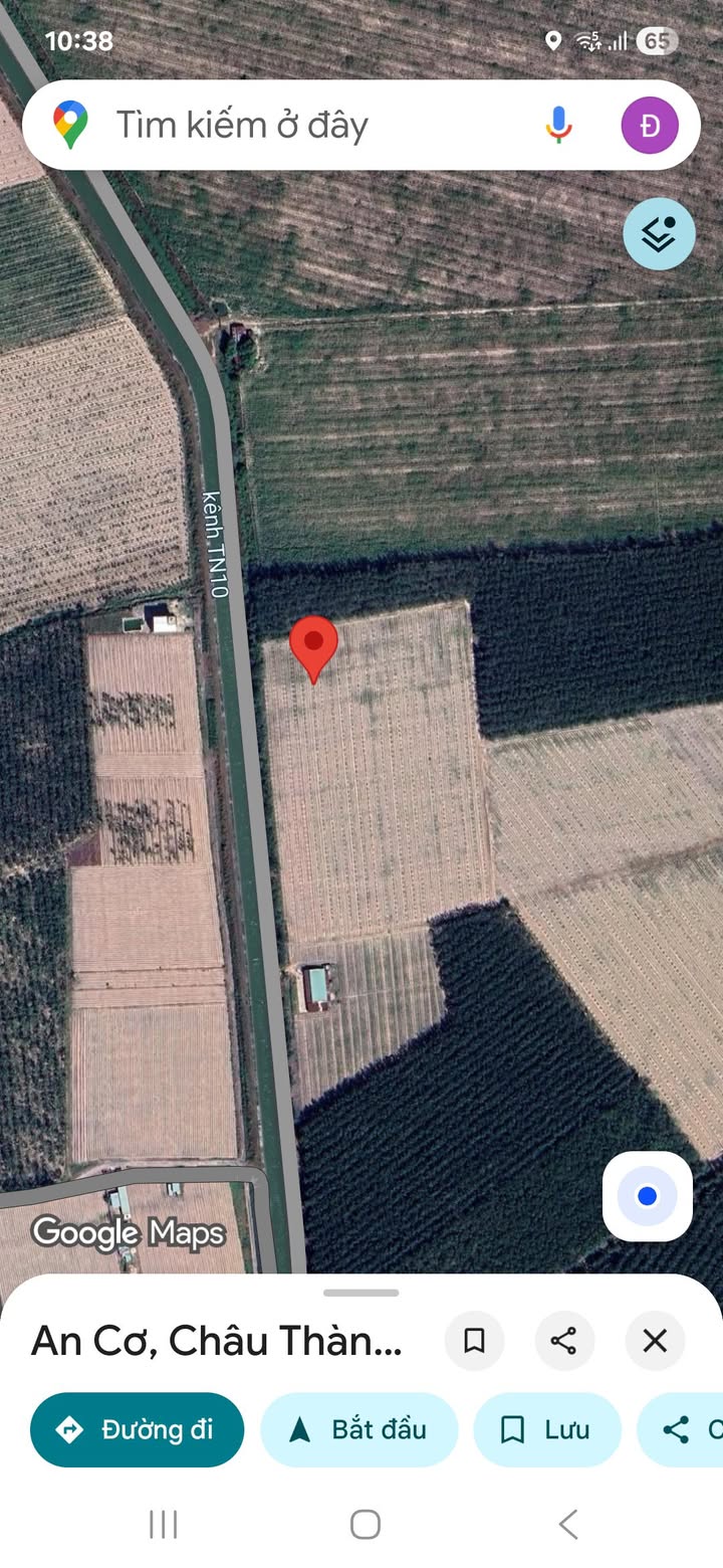 Farm 20 mẫu đất gò An Cơ, Châu Thành, Tây Ninh giá 22 tỷ - Cơ hội đầu tư hấp dẫn!