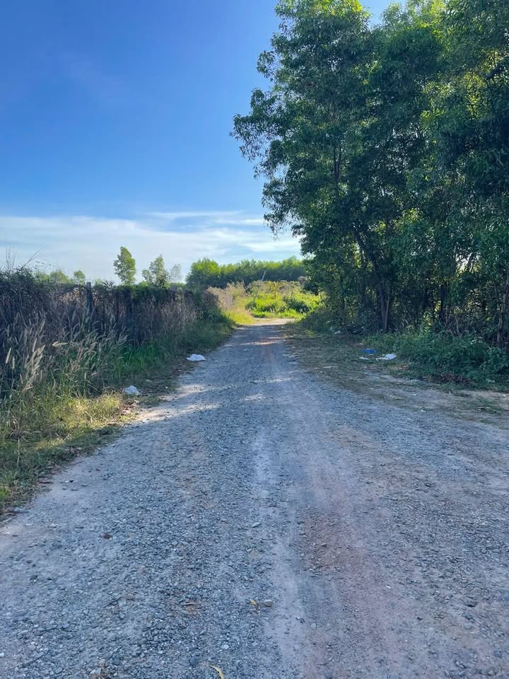 Đất nền Xã Phước An 150m² giá 1.2 tỷ - Đường thông thoáng, vị trí đắc địa!