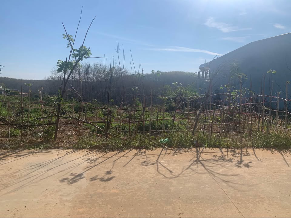 Đất nền TDP6 Ngọc Hồi 283m² giá 1.3 tỷ - Gần trường, bệnh viện