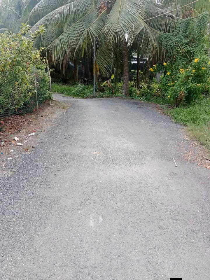 Đất nền mặt tiền đường nhựa Long Vĩnh Nhơn Trạch 150m² chỉ 330 triệu - Cơ hội đầu tư hiếm có!