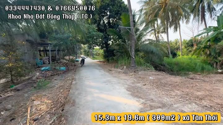 Đất vườn 300m² xã Tân Thới, giá 215 triệu - Sổ hồng riêng, đầu tư lý tưởng!